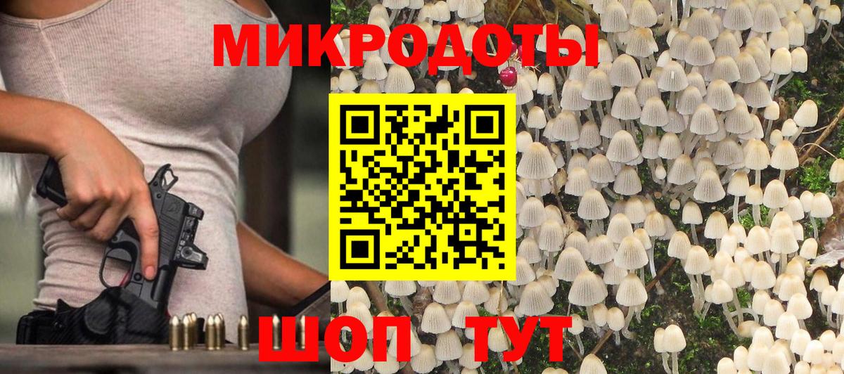 Псилоцибиновые грибы Cubensis  Вход с VPN  Сердобск 